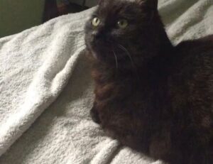 how to become a woman of power ewmhisto