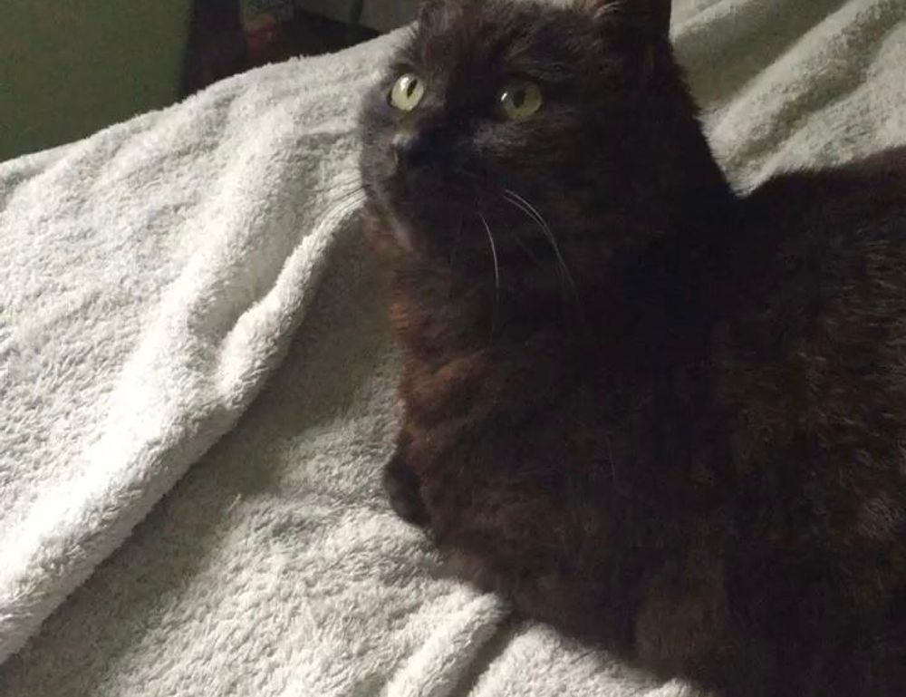 how to become a woman of power ewmhisto