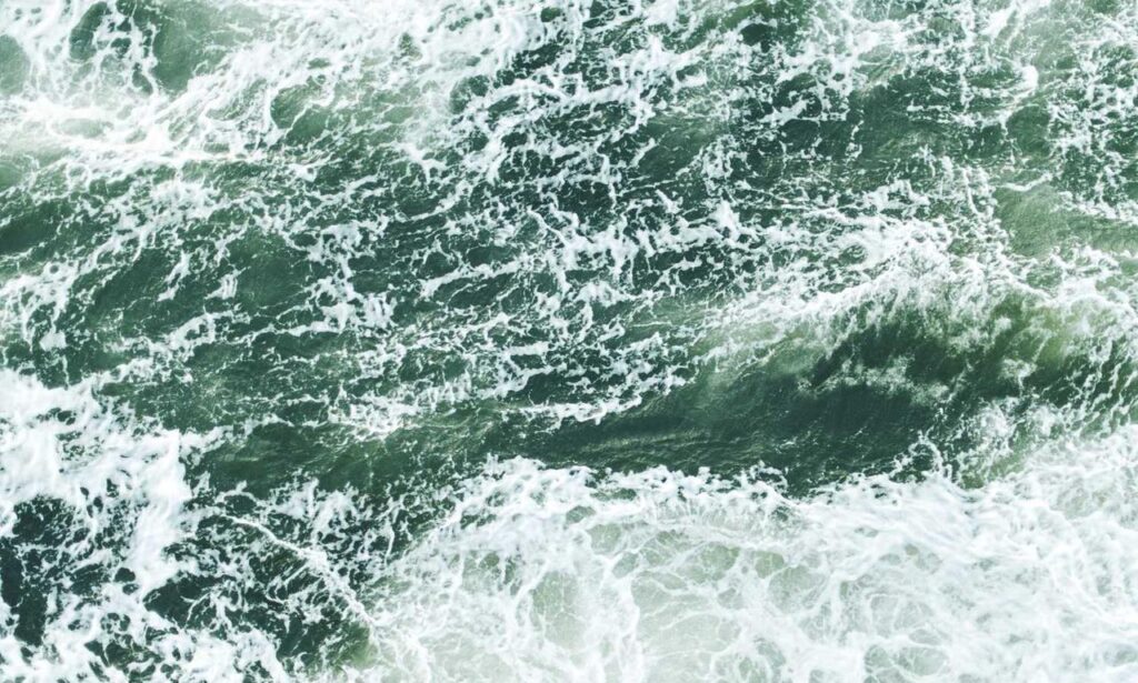 womanhood projects ewmhisto