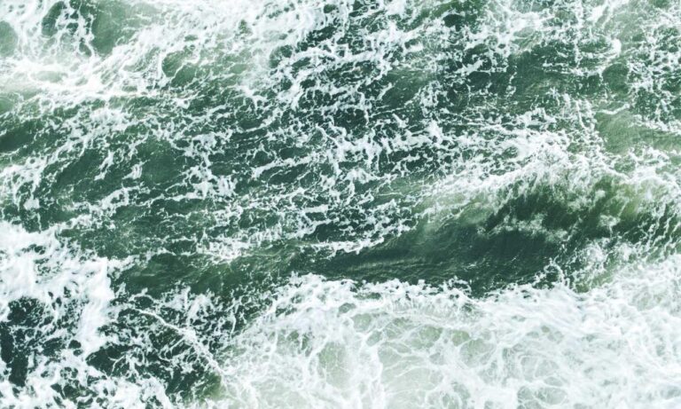 womanhood projects ewmhisto