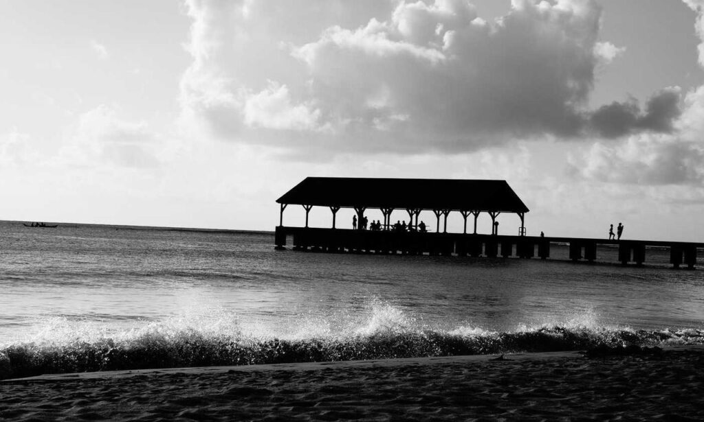 why are endbugflow software called bugs