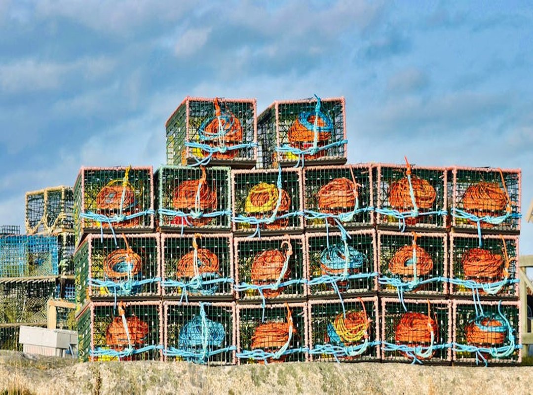 ewmhisto sisterhood empowerment by emergewomanmagazine