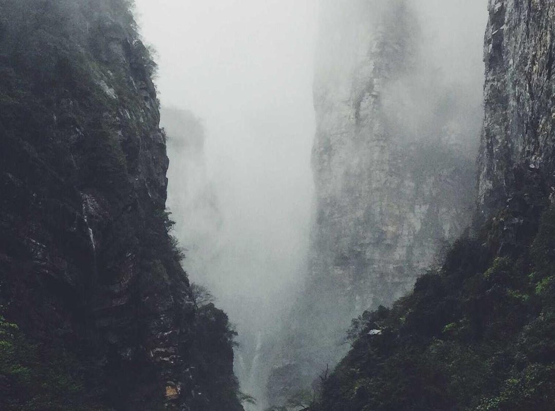 A Look Inside Her Instagram Content: What Does She Post?