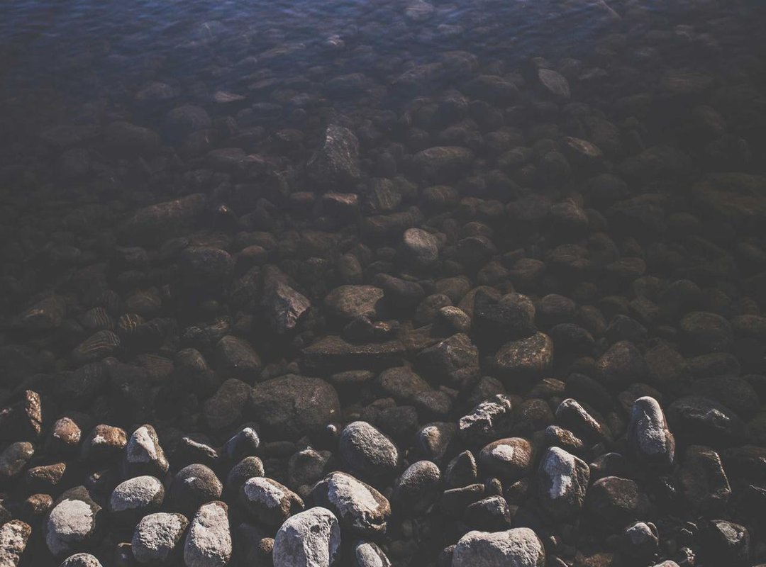 How to Set a Blank WhatsApp DP: The 2-Minute Guide