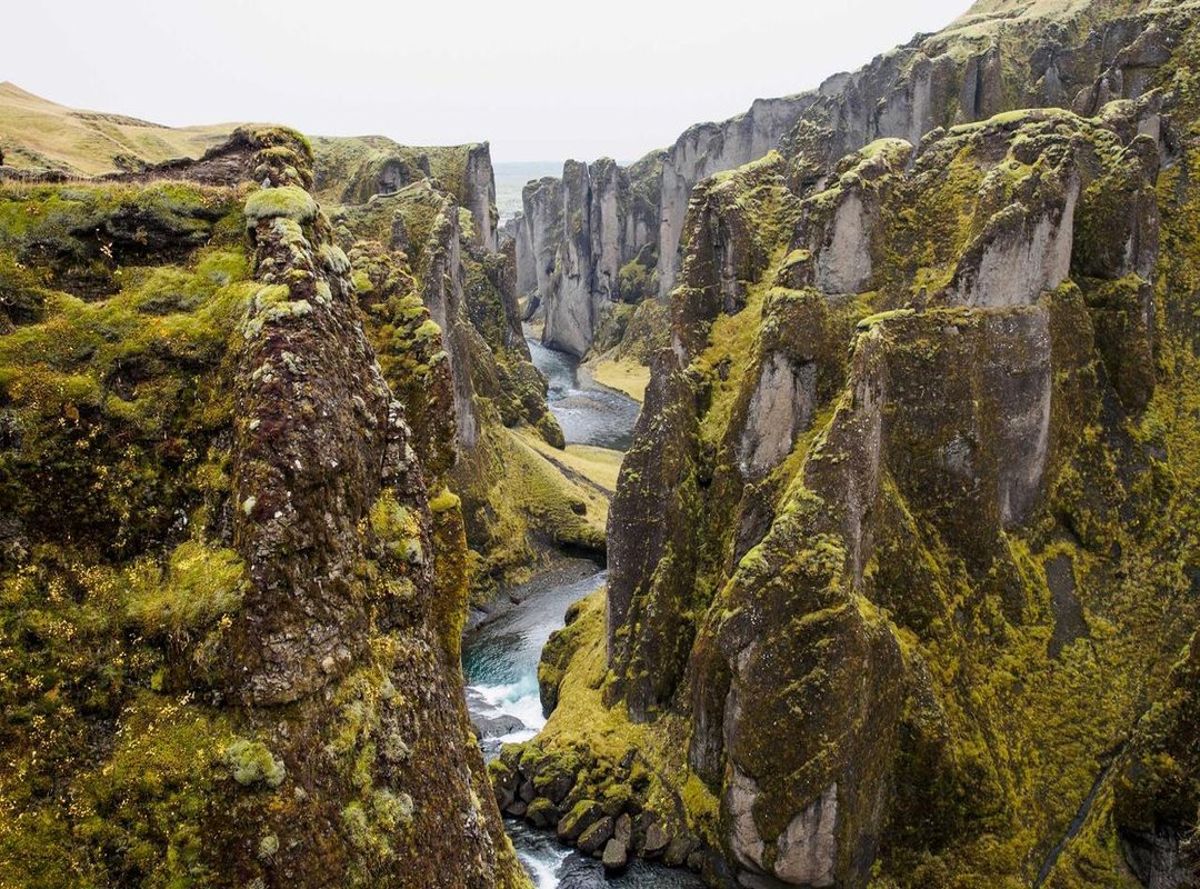 The Journey: How LuxyDutch Grew a Following