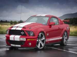 mr iconic shelby