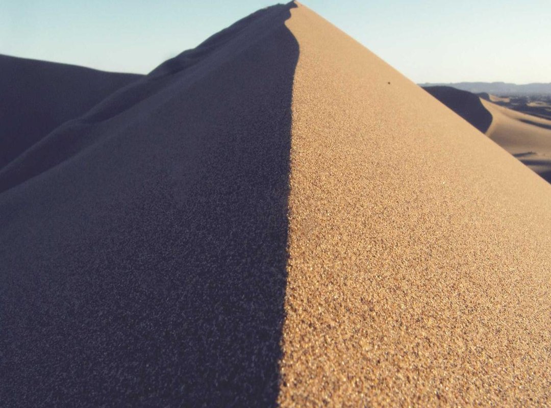 Beyond the Brand: Exploring Creative Ninja and Van Themes