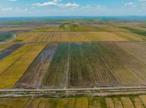 temu farmland hack