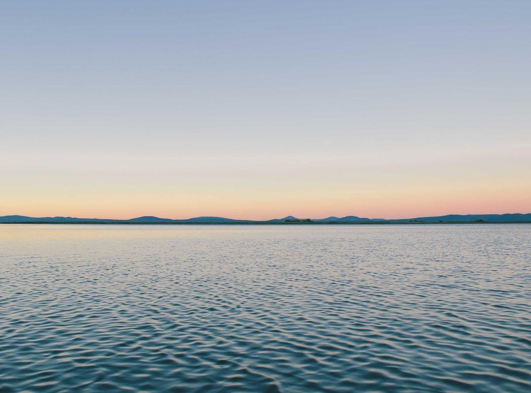 How to Build Your Own 'Gary X' Statement: A Step-by-Step Guide