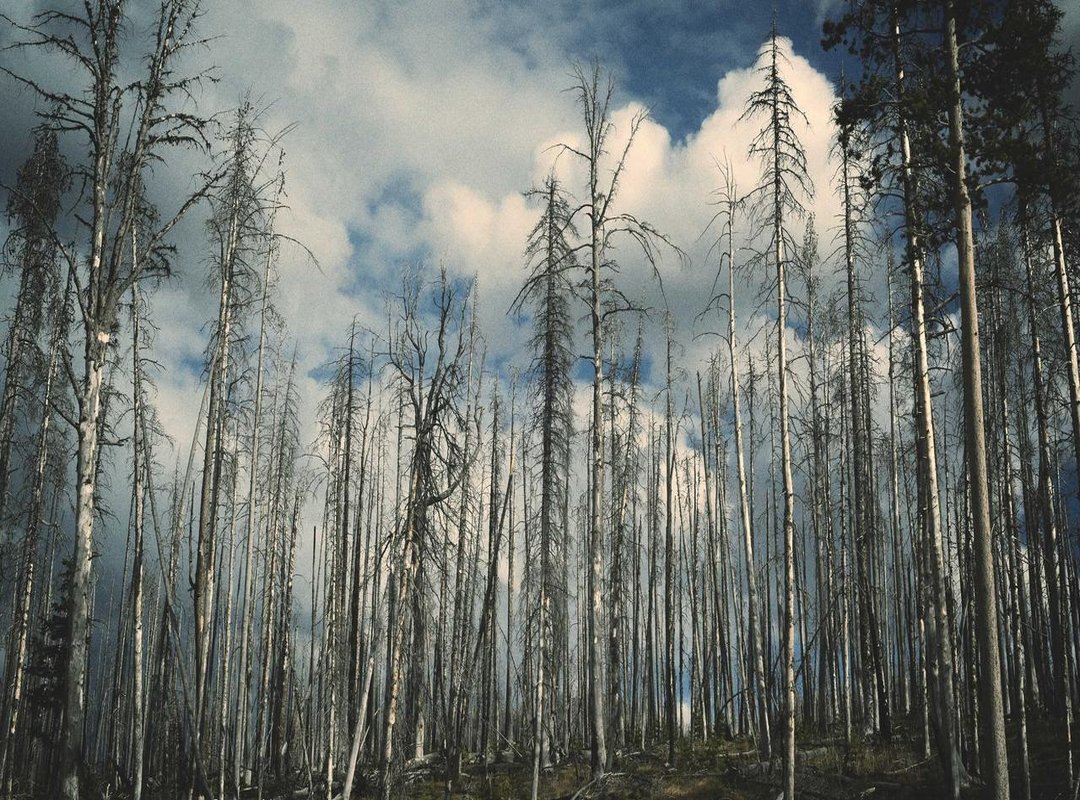 Frequently Asked Questions (FAQs)